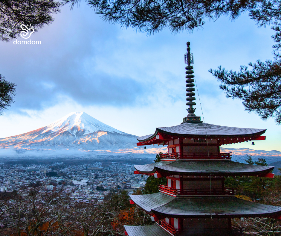 Đi Nhật làm việc: nên chọn công ty phái cử hay trung tâm XKLĐ?